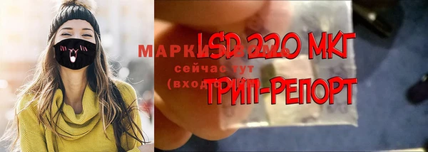 соль ск Лиски