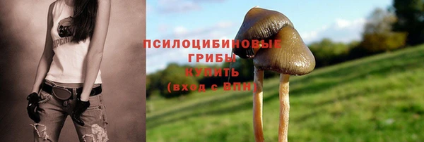 ПСИЛОЦИБИНОВЫЕ ГРИБЫ Алзамай