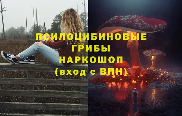 прущая мука Абаза