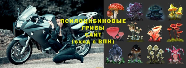 ПСИЛОЦИБИНОВЫЕ ГРИБЫ Алзамай